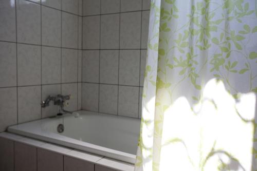 Tianfu艾丽丝泉民宿 - 天送埤别馆的带浴缸和浴帘的浴室