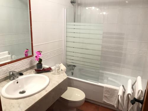 尤比雅克Posada Mediavia的一间带水槽、卫生间和淋浴的浴室