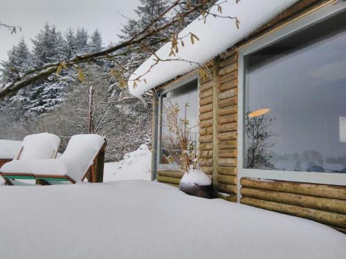 LlandeglaThe Summerhouse的小木屋,门廊上积雪