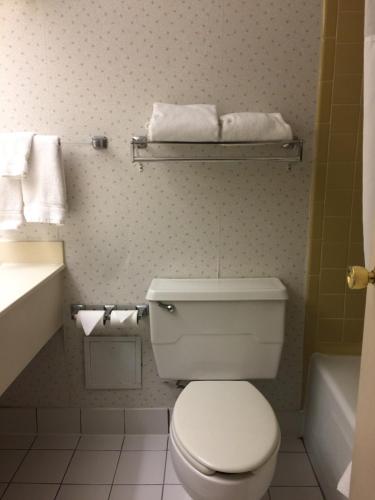 米斯蒂克Mystic River Hotel & Suites的浴室配有卫生间、盥洗盆和浴缸。