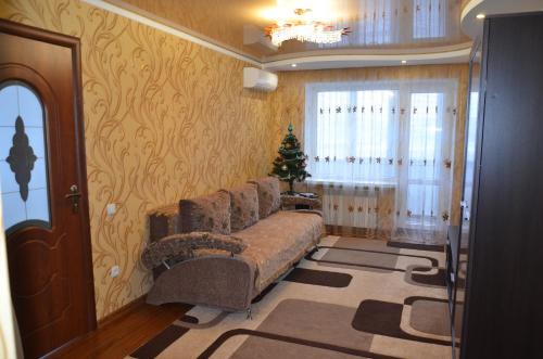 BerdychivВетеринарный的带沙发和圣诞树的客厅
