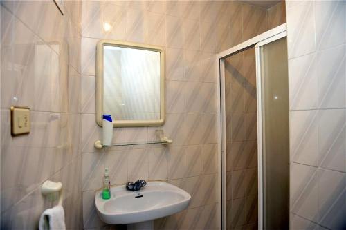 巴绍里阿丽兹旅馆的一间带水槽、镜子和淋浴的浴室