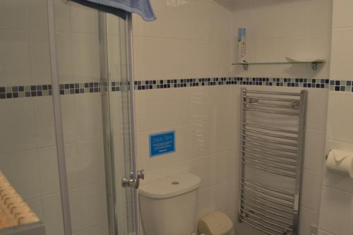 托基Ashbury Tor的一间带卫生间和玻璃淋浴间的浴室