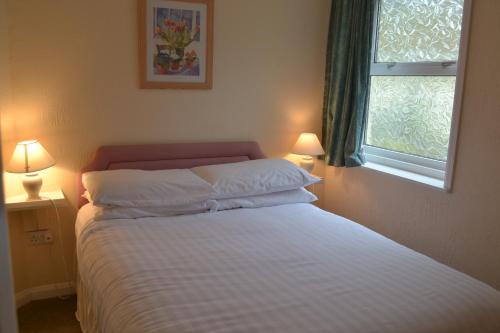 托基Ashbury Tor的一间卧室配有一张带两盏灯的床和一扇窗户。