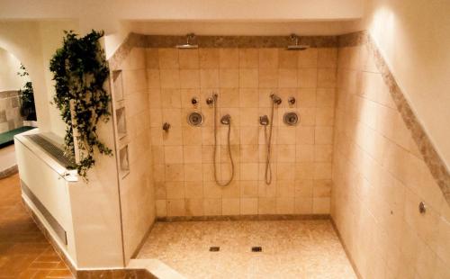 因斯布鲁克哥特则尼尔霍夫旅馆的一间带2个淋浴喷头的淋浴的浴室