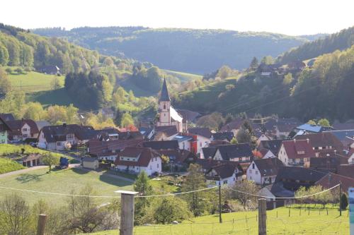 SchweighausenSchwoererhof的山谷中一座小城镇,有教堂