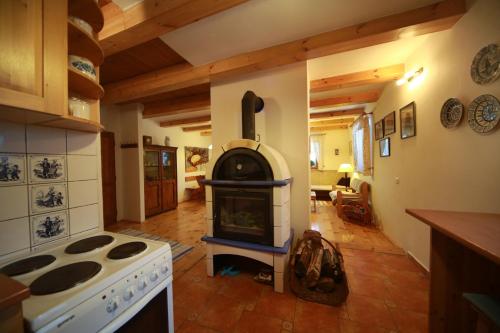 JavornáChalupa Na Bucharu的客房内的厨房配有炉灶烤箱