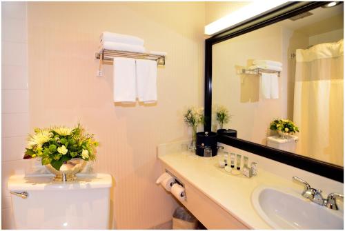 艾伯尼港好客酒店的一间带水槽、卫生间和镜子的浴室