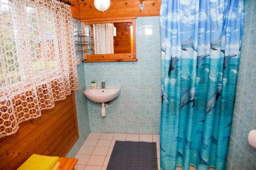 Nasva乐琶玫萨度假屋的一间带水槽和淋浴的浴室
