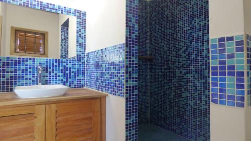 博卡斯德尔托罗Casa Basti-Hill的蓝色瓷砖浴室设有水槽和淋浴