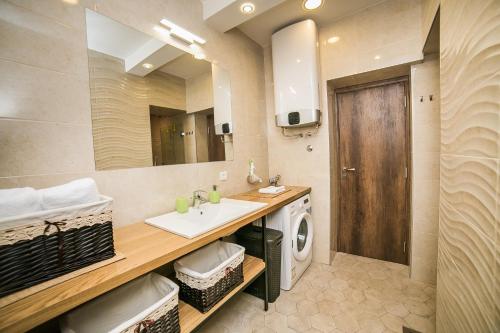 贝尔格莱德Cosmopolitan Apartment的一间带水槽和洗衣机的浴室
