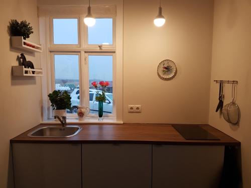 塞尔福斯Vorsabær Apartment的厨房设有水槽和窗户。