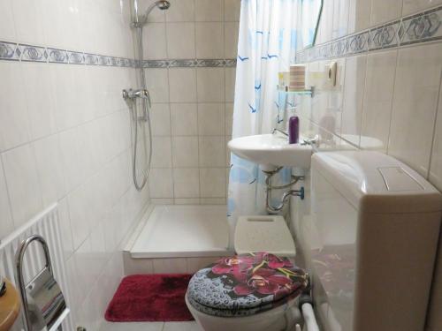 特里贝格Haus Antonis的浴室配有卫生间、盥洗盆和淋浴。