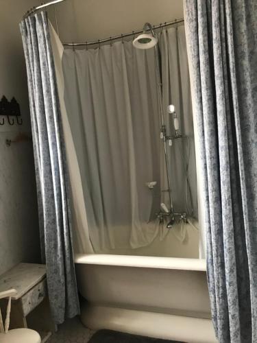 圣路易斯Casa Magnolia B & B的带浴缸和淋浴帘的浴室