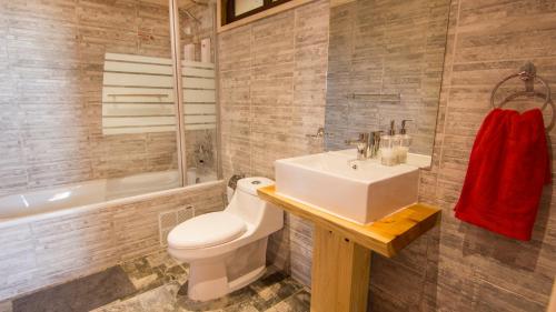 皮奇勒姆Comarca Lodge的浴室配有盥洗盆、卫生间和浴缸。