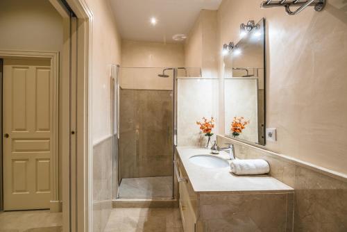 塞维利亚Puerta Principe Luxury Apartments的一间带水槽和淋浴的浴室