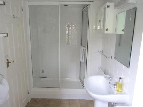 伊斯特雷格斯特普度假屋的带淋浴和盥洗盆的白色浴室