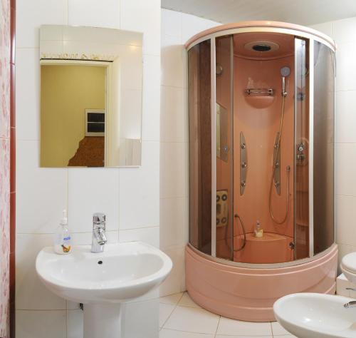 鄂木斯克Omsk Sutki Apartments on Ilyicheva 6的带淋浴和盥洗盆的浴室