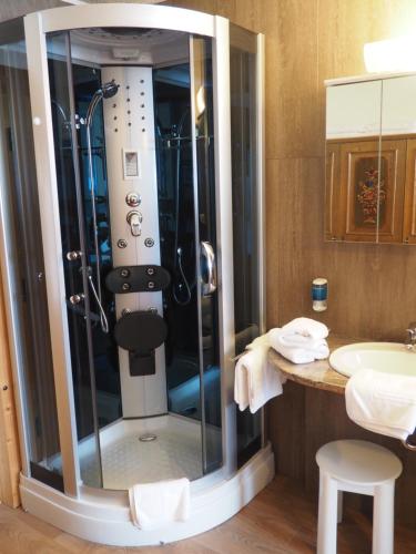 Riedlhütte弗里德尔酒店的淋浴位于盥洗盆旁的浴室