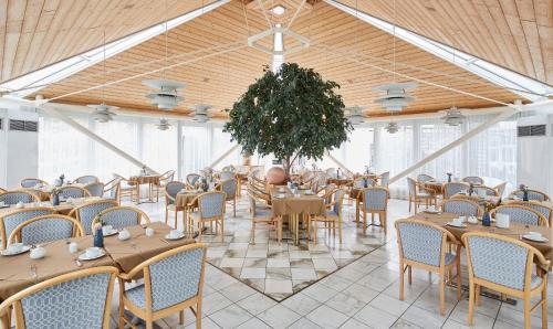 纽伦堡Living Hotel Nürnberg的一个带桌椅和一棵树的宴会厅