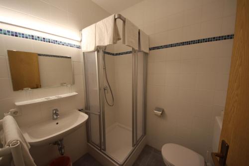 林茨Hotel Kleinmünchen的带淋浴、盥洗盆和卫生间的浴室
