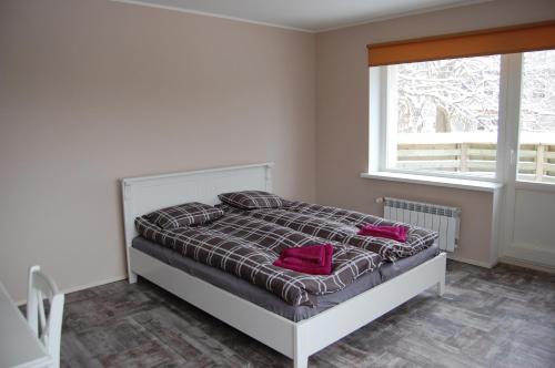 塔林Kaunis Guesthouse的一间卧室配有一张带红色枕头的床和一扇窗户