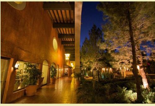 杜兰戈统治者酒店的植物和树木的建筑走廊