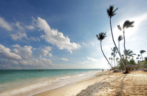 蓬塔卡纳格兰巴拉典恩蓬塔卡纳Spa度假酒店 - 全包的棕榈树和海洋的沙滩