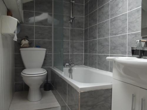 圣福瓦-塔朗泰斯Le Perce Neige d'Alicia的浴室配有卫生间、浴缸和水槽。