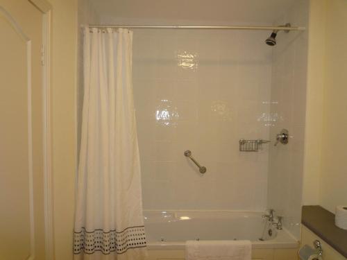 基洛格林Grove Lodge Holiday Homes (2 Bed)的带浴缸和淋浴帘的浴室