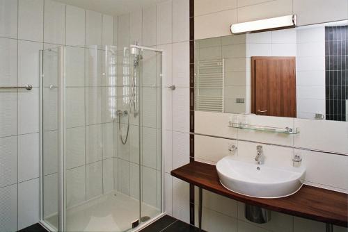 Kravaře布里阿雷纳酒店的一间带水槽和玻璃淋浴的浴室