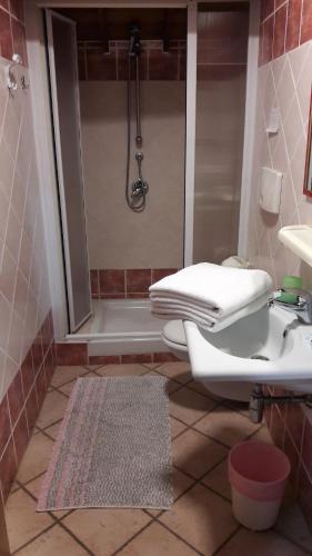 廖拉萨尔多La Casa Rossa的带淋浴、卫生间和盥洗盆的浴室