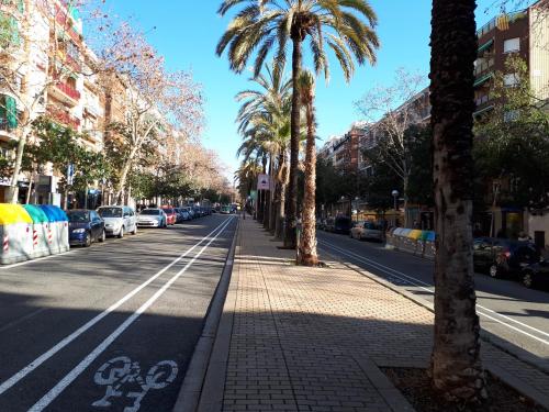 巴塞罗那"Casa TOLIMA"的一条在路边种有棕榈树的街道