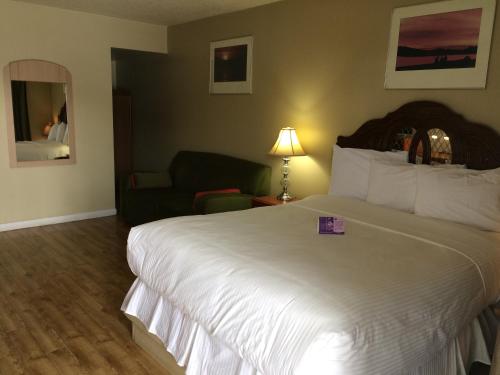 埃德蒙顿Nice Inn Edmonton的酒店客房设有一张大床和一张沙发。