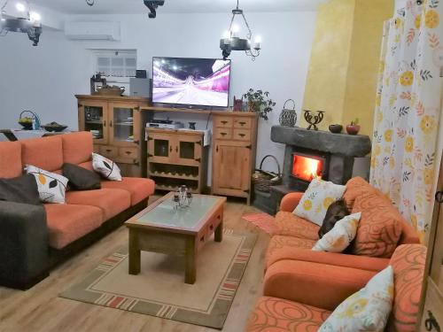 Capelo火山乡村民宿旅馆的客厅配有橙色沙发和电视