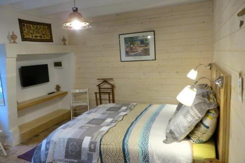 卢瓦尔河畔蒙路易Maisonnette (type studio) Indépendante的卧室配有一张床,墙上配有电视。