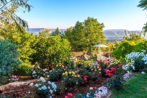 KahalBetzel Ha'Ella的院子里种着五颜六色花的花园
