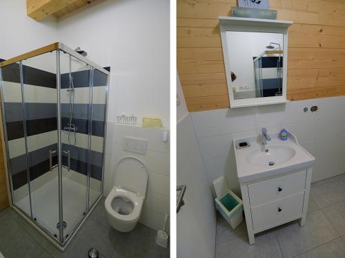 Brezje伍德豪斯住宿加早餐旅馆的浴室的两张照片,配有卫生间和水槽