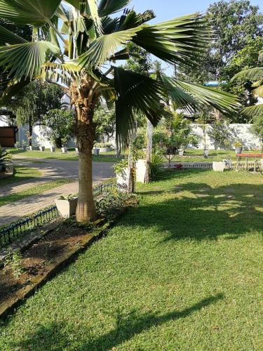 瓦特勒Holiday Home的公园草中的棕榈树