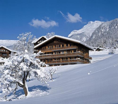 格林德尔瓦尔德卡巴那酒店的雪地中的滑雪小屋,前方有一棵树