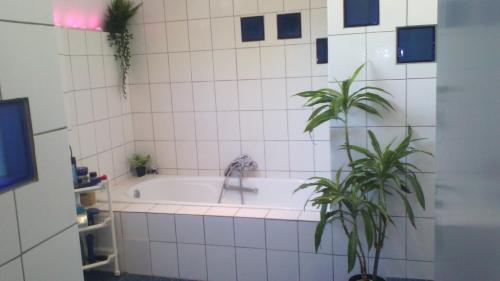 Schuttershof Heerlen - Adults Only的一间浴室