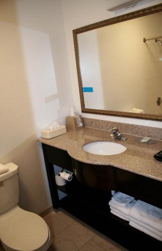 伍德兰奥克斯山谷林地酒店的一间带水槽、卫生间和镜子的浴室