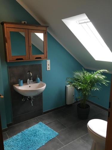 凯沃拉尔Ferienwohnung Niederrhein-Oase的一间带水槽和蓝色墙壁的浴室