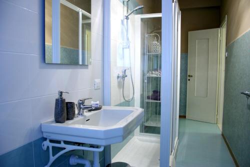 维罗纳瓦迪斯阿瑞娜住宿加早餐酒店的白色的浴室设有水槽和淋浴。