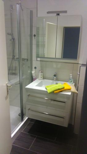 温特贝格Ferienappartement Feldstrasse的白色的浴室设有水槽和淋浴。