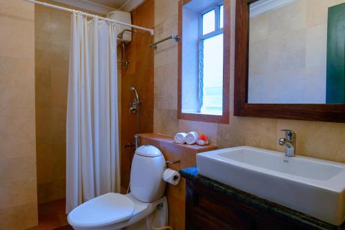 马焦茹达TreeHouse Blue Hotel & Serviced Apartments的一间带卫生间、水槽和镜子的浴室