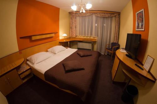 多姆扎莱克朗多姆扎莱酒店的一间卧室配有一张床、一张书桌和一台电视