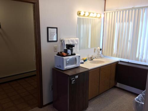 Kewaunee科赫汽车旅馆的一间带水槽和台面微波炉的浴室