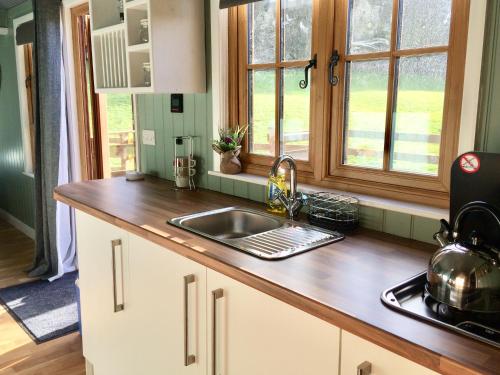 DarowenMid Wales Luxury Huts的厨房配有水槽和台面