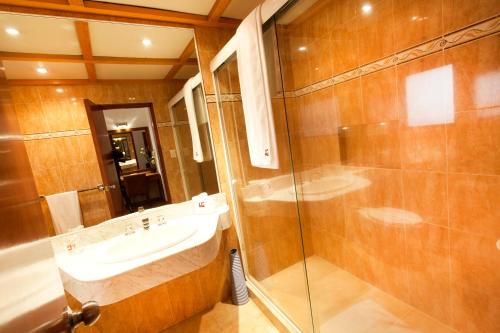 墨西哥城吉洛酒店的一间带水槽和玻璃淋浴的浴室